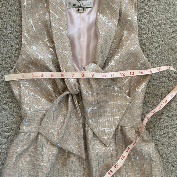 Vintage hunter Dixon brocade lined dress in silver & blush size 2 - Picture 13 of 14